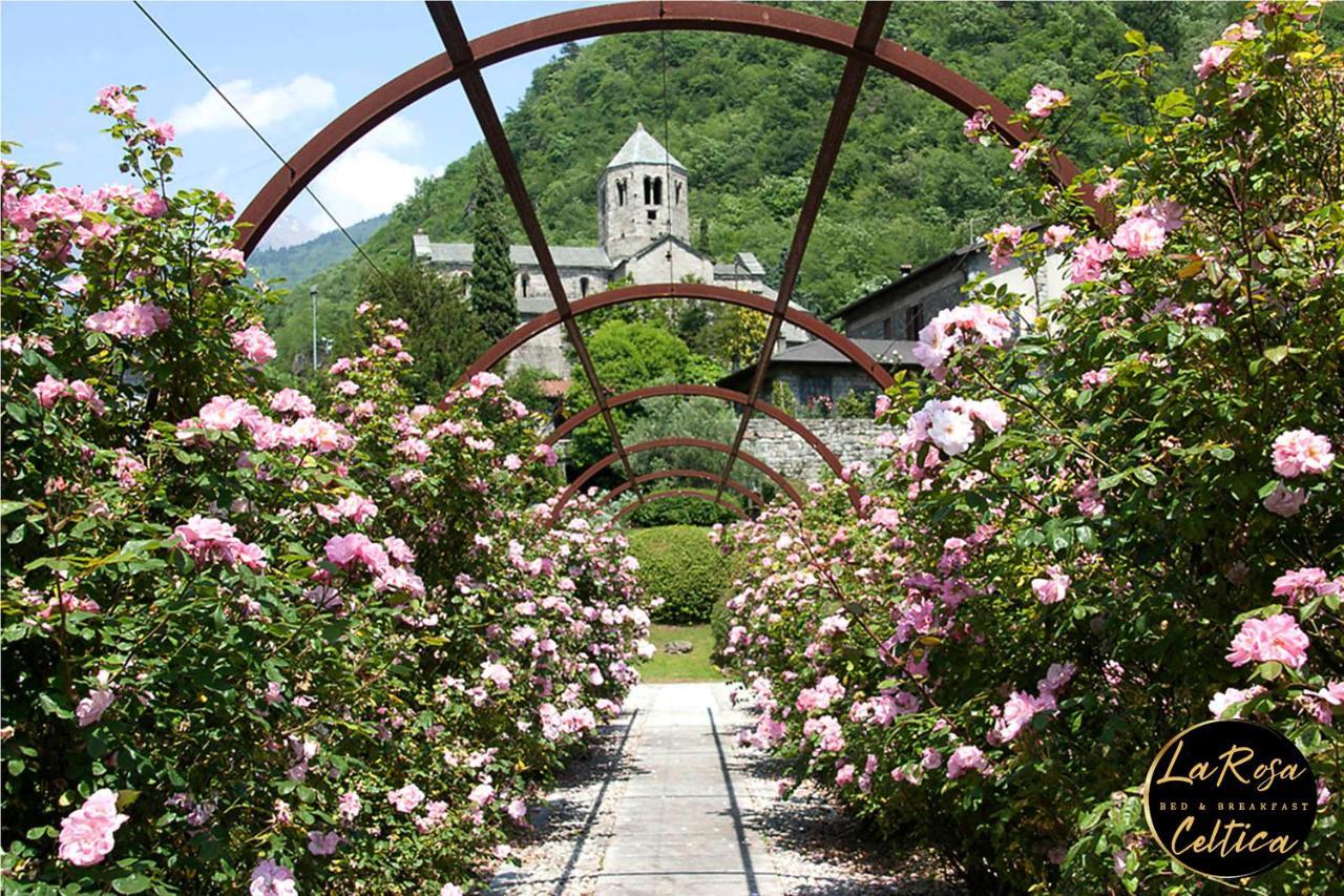 Capo di Ponte B&B La Rosa Celtica المظهر الخارجي الصورة